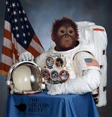 Image of Gordo